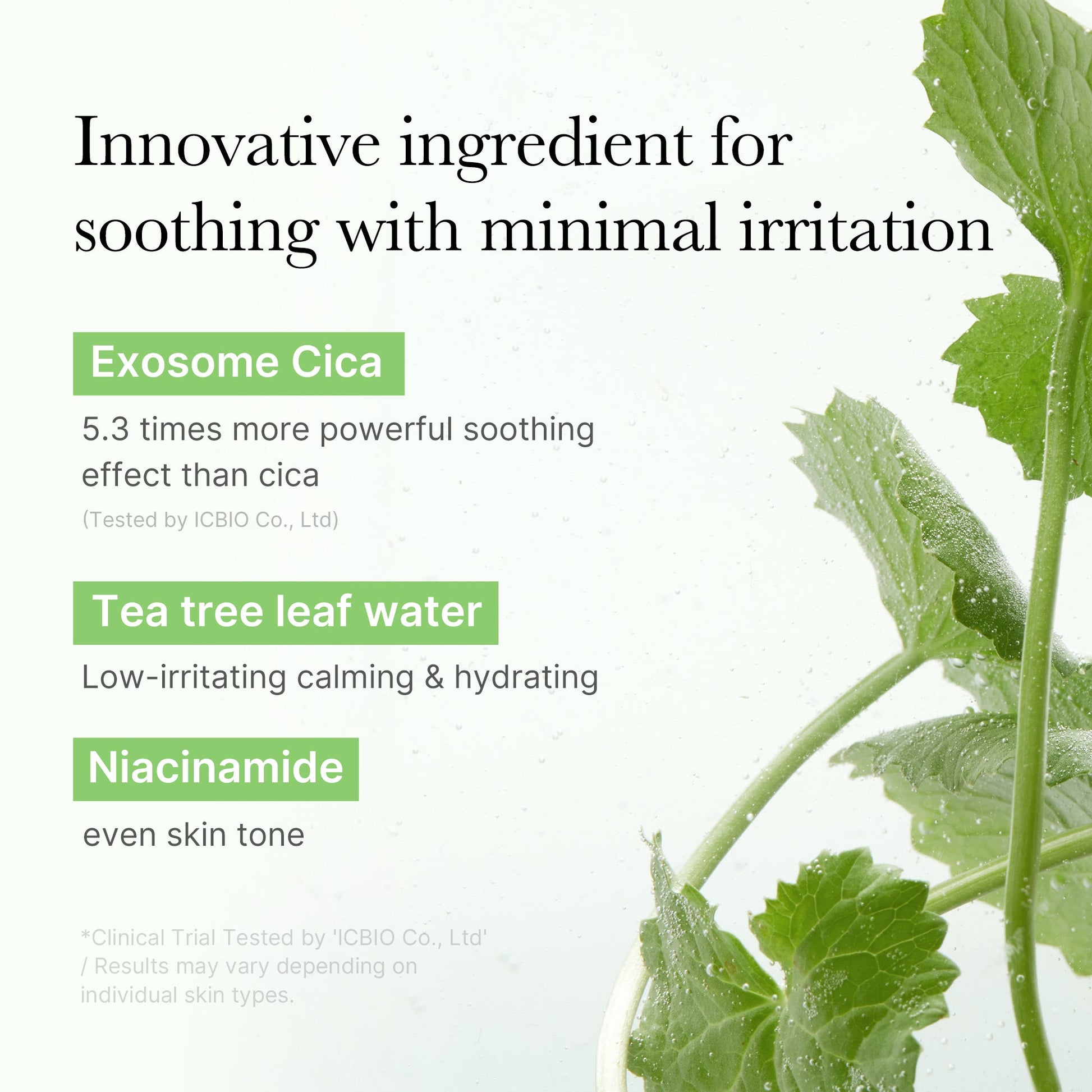 exosome-cica-calming-toner-pads-c0 03_d73c7e58-fe02-42b9-8dfe-6db8bcfc4a9d.jpg
