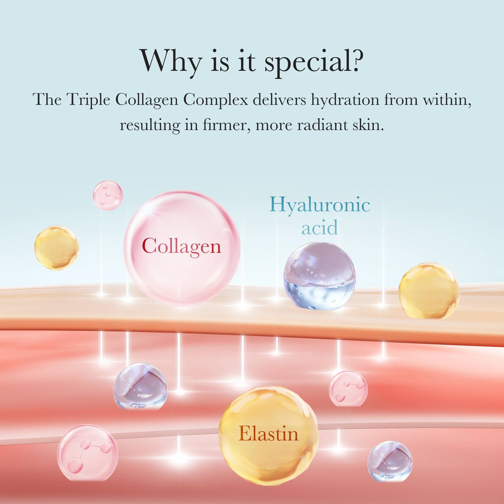 triple-collagen-cream-a6 04_8e4e330d-7d9c-4ff0-93ec-ea541093220c.jpg