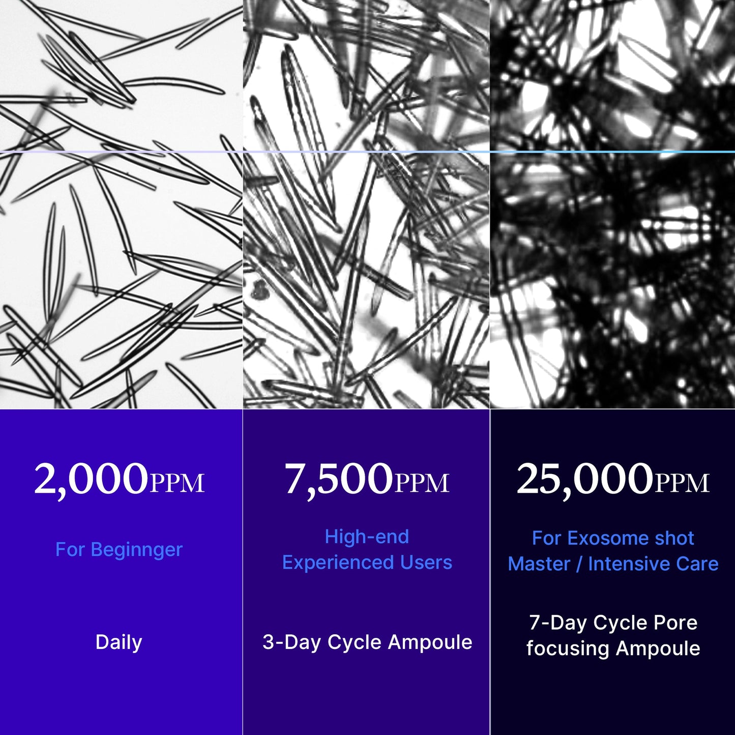 zero-exosome-shot-q9 25000_05.jpg