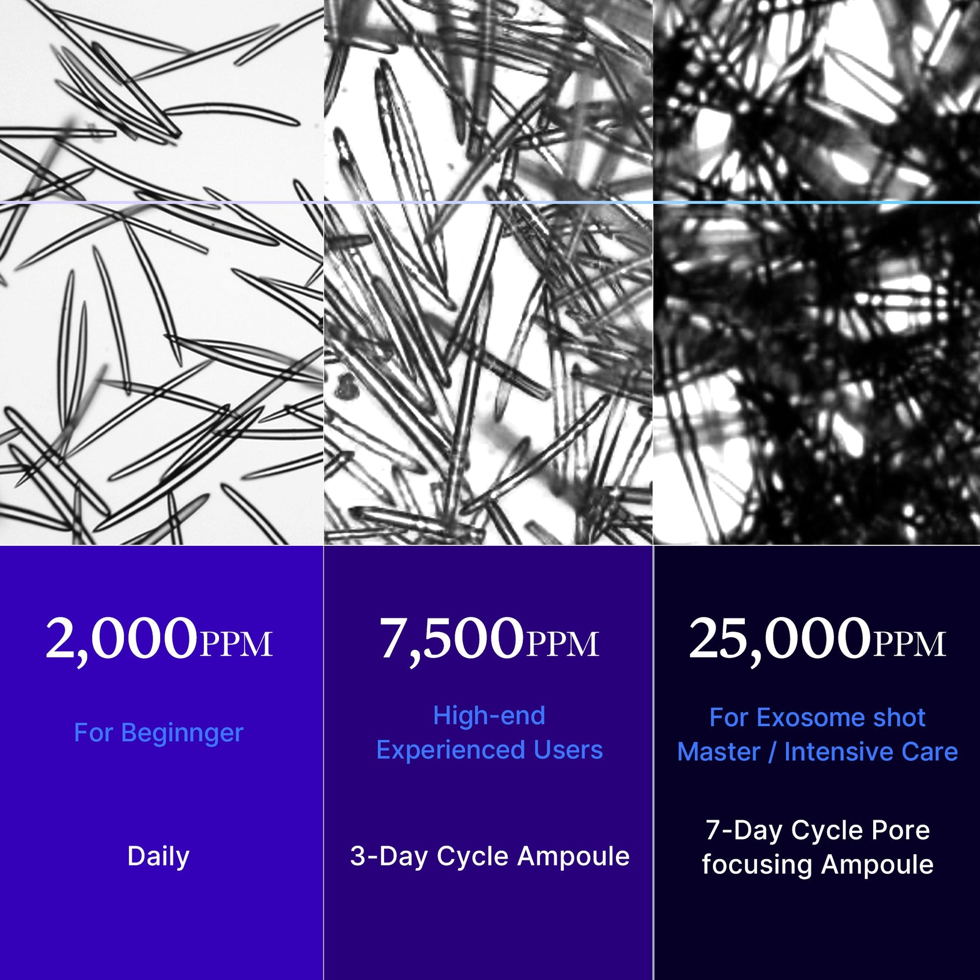 zero-exosome-shot-q9 25000_05.jpg